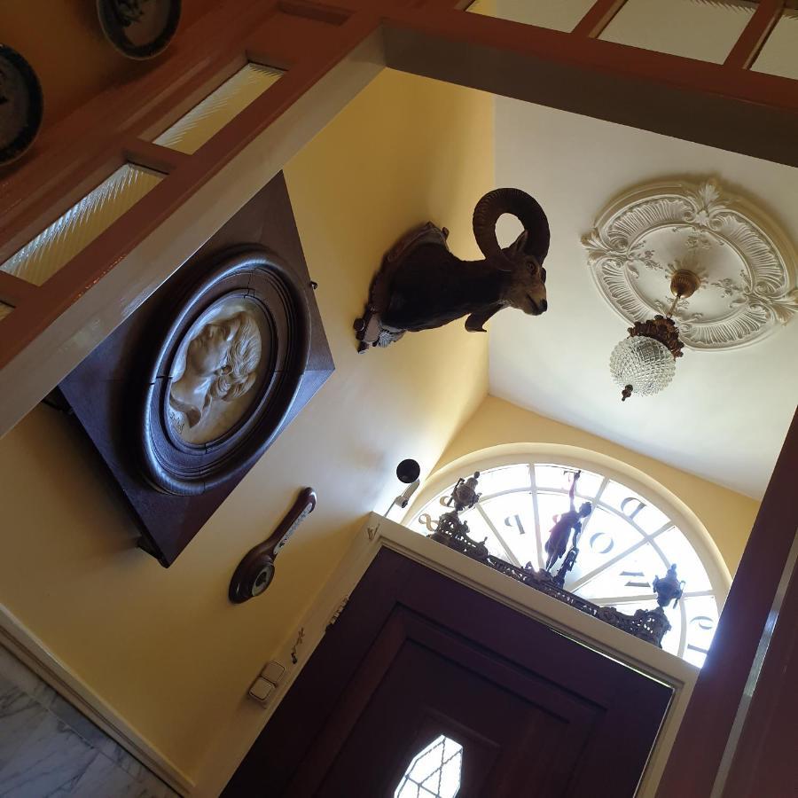 Deventer Heritage En Boutique B&B Museumhuis Huize "De Worp" Εξωτερικό φωτογραφία